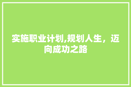 实施职业计划,规划人生，迈向成功之路