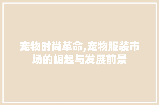 宠物时尚革命,宠物服装市场的崛起与发展前景