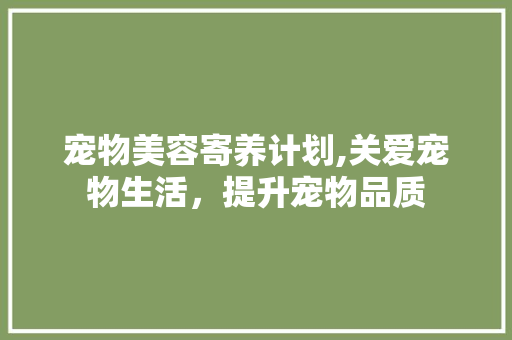 宠物美容寄养计划,关爱宠物生活，提升宠物品质