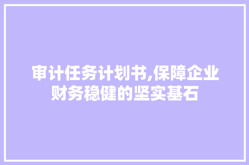审计任务计划书,保障企业财务稳健的坚实基石