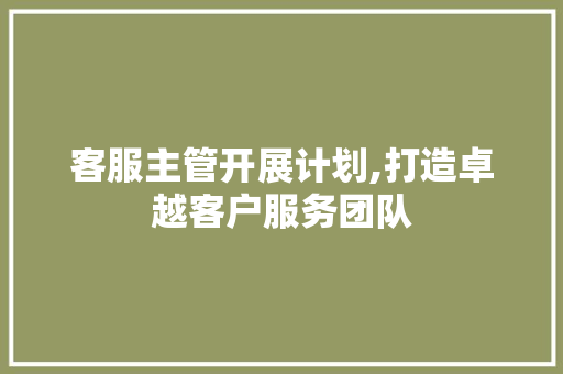 客服主管开展计划,打造卓越客户服务团队