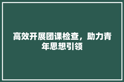 高效开展团课检查，助力青年思想引领