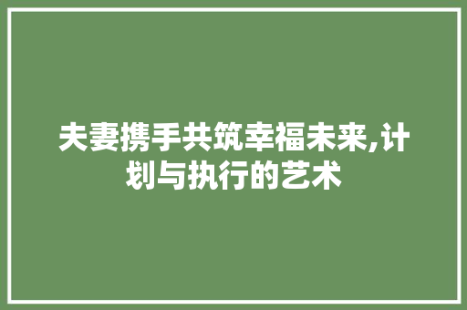 夫妻携手共筑幸福未来,计划与执行的艺术