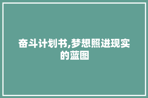 奋斗计划书,梦想照进现实的蓝图