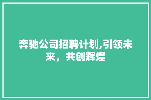 奔驰公司招聘计划,引领未来，共创辉煌
