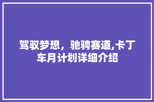 驾驭梦想，驰骋赛道,卡丁车月计划详细介绍