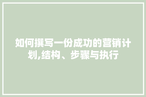 如何撰写一份成功的营销计划,结构、步骤与执行