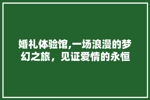 婚礼体验馆,一场浪漫的梦幻之旅，见证爱情的永恒