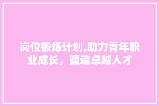 岗位锻炼计划,助力青年职业成长，塑造卓越人才