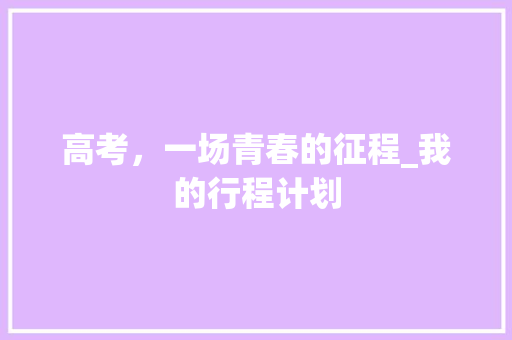 高考，一场青春的征程_我的行程计划