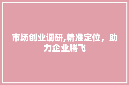 市场创业调研,精准定位，助力企业腾飞