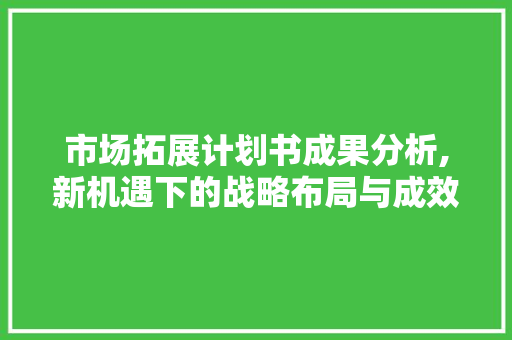 市场拓展计划书成果分析,新机遇下的战略布局与成效