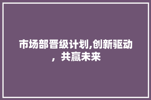 市场部晋级计划,创新驱动，共赢未来