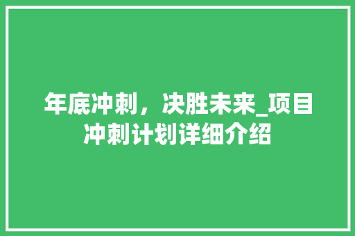 年底冲刺，决胜未来_项目冲刺计划详细介绍