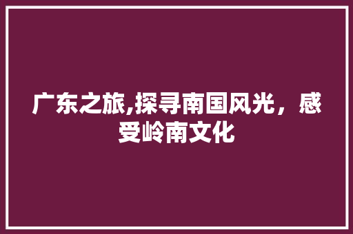 广东之旅,探寻南国风光，感受岭南文化