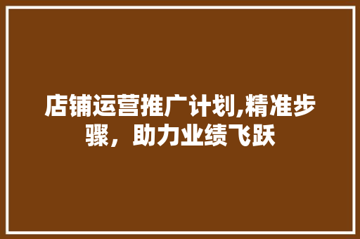 店铺运营推广计划,精准步骤，助力业绩飞跃
