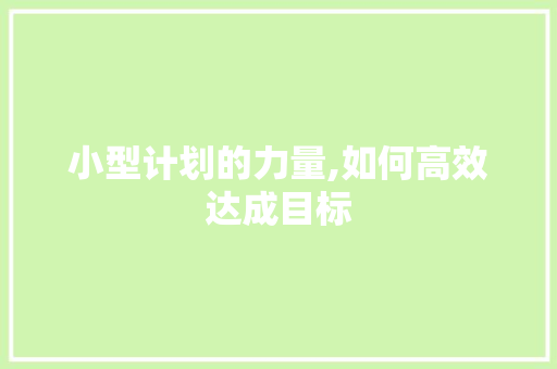 小型计划的力量,如何高效达成目标