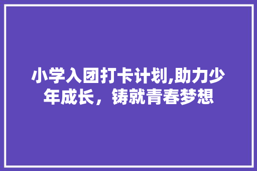 小学入团打卡计划,助力少年成长，铸就青春梦想