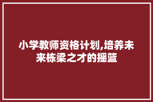 小学教师资格计划,培养未来栋梁之才的摇篮