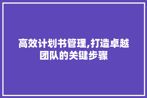 高效计划书管理,打造卓越团队的关键步骤