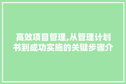 高效项目管理,从管理计划书到成功实施的关键步骤介绍