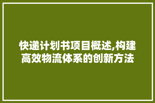 快递计划书项目概述,构建高效物流体系的创新方法