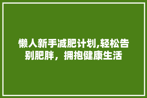 懒人新手减肥计划,轻松告别肥胖，拥抱健康生活