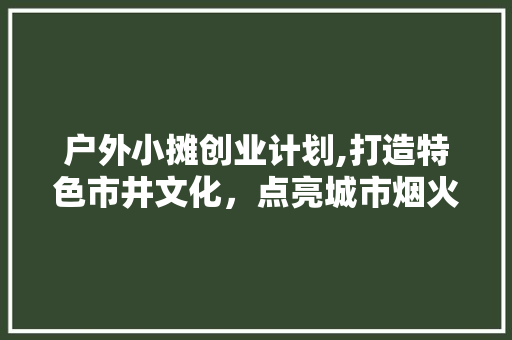 户外小摊创业计划,打造特色市井文化，点亮城市烟火气