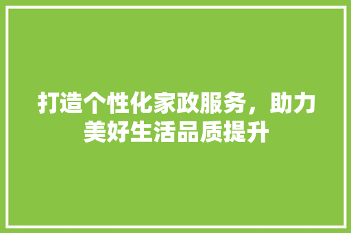 打造个性化家政服务，助力美好生活品质提升