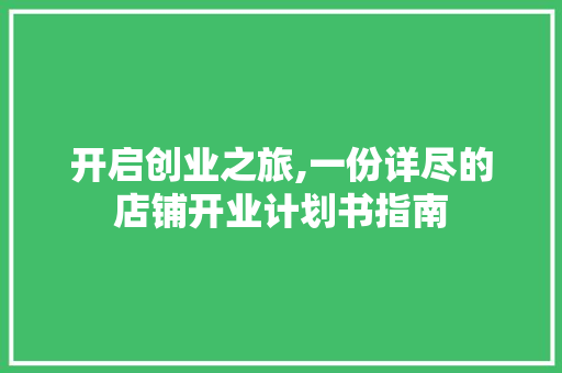 开启创业之旅,一份详尽的店铺开业计划书指南
