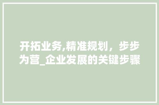 开拓业务,精准规划，步步为营_企业发展的关键步骤