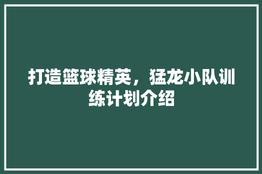 打造篮球精英，猛龙小队训练计划介绍
