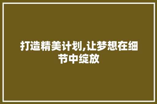 打造精美计划,让梦想在细节中绽放