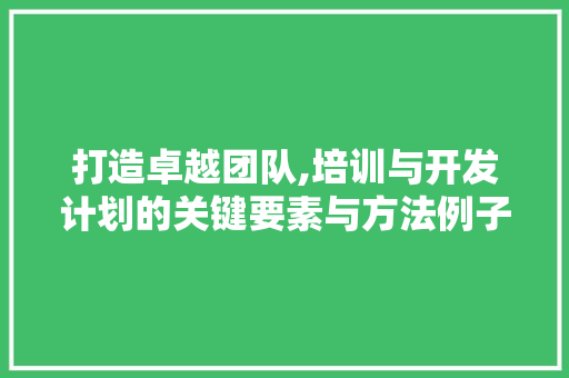 打造卓越团队,培训与开发计划的关键要素与方法例子