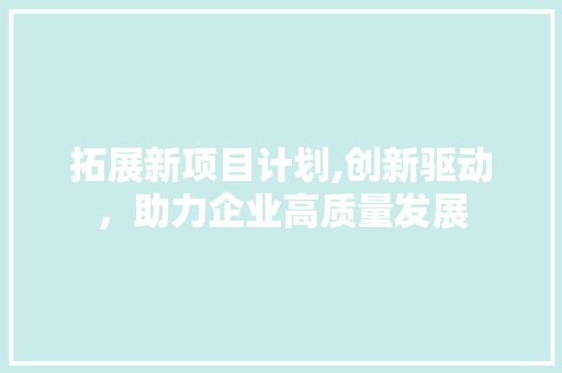 拓展新项目计划,创新驱动，助力企业高质量发展