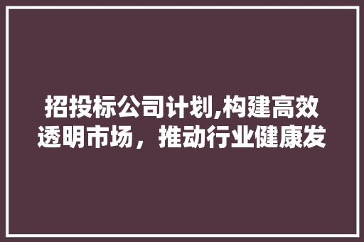 招投标公司计划,构建高效透明市场，推动行业健康发展