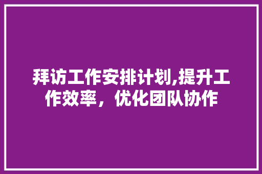 拜访工作安排计划,提升工作效率，优化团队协作
