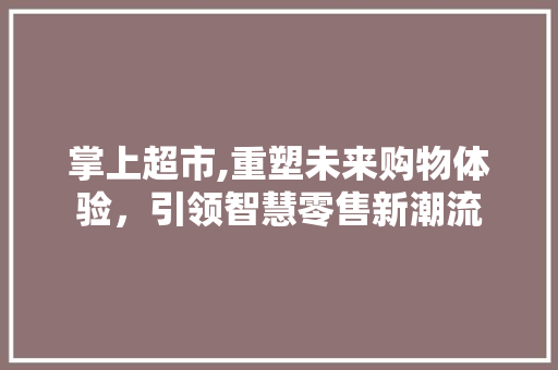 掌上超市,重塑未来购物体验，引领智慧零售新潮流