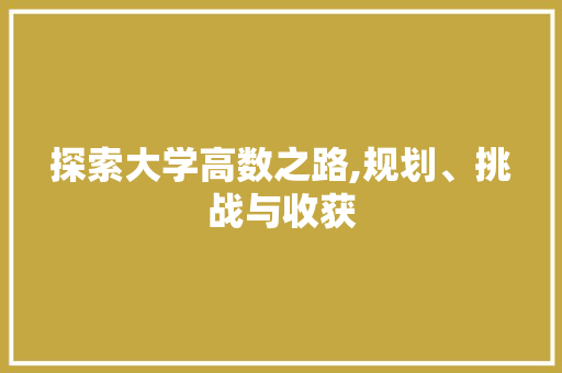 探索大学高数之路,规划、挑战与收获