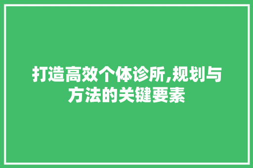 打造高效个体诊所,规划与方法的关键要素