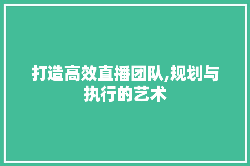 打造高效直播团队,规划与执行的艺术
