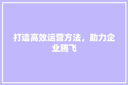 打造高效运营方法，助力企业腾飞