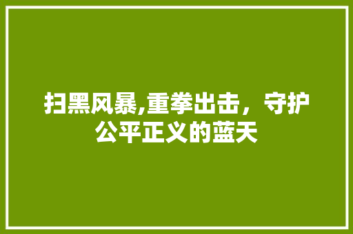 扫黑风暴,重拳出击，守护公平正义的蓝天