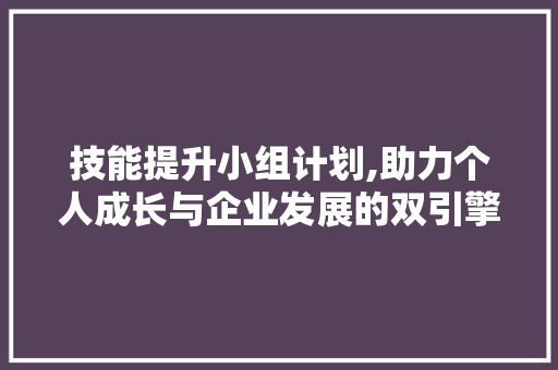 技能提升小组计划,助力个人成长与企业发展的双引擎