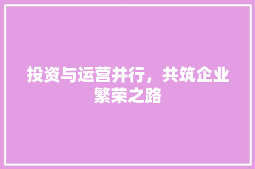 投资与运营并行，共筑企业繁荣之路