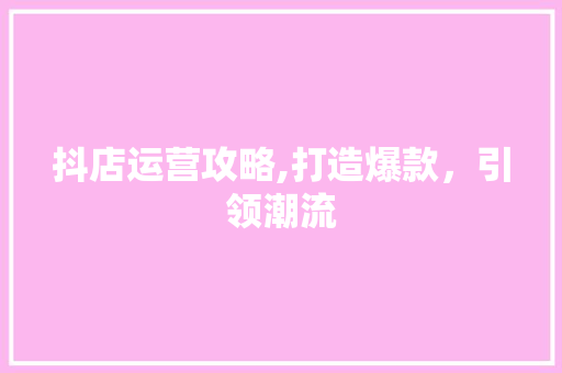 抖店运营攻略,打造爆款，引领潮流