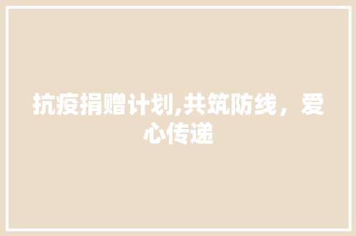 抗疫捐赠计划,共筑防线，爱心传递