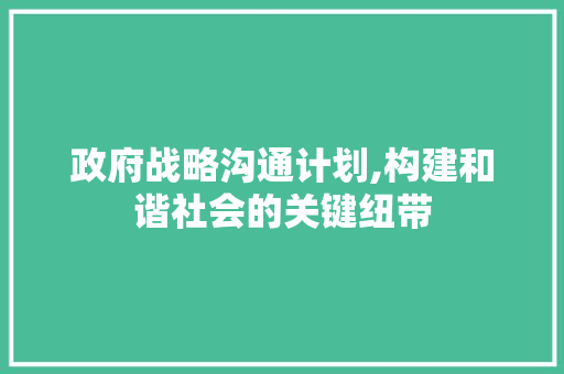 政府战略沟通计划,构建和谐社会的关键纽带