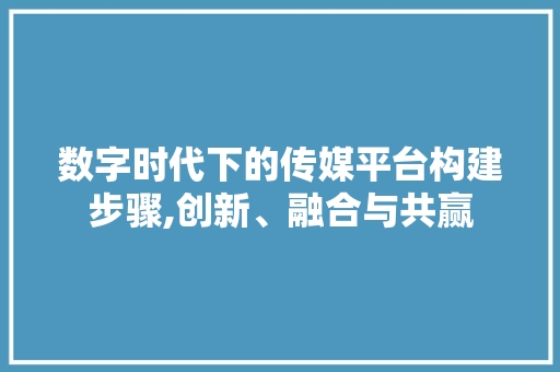 数字时代下的传媒平台构建步骤,创新、融合与共赢