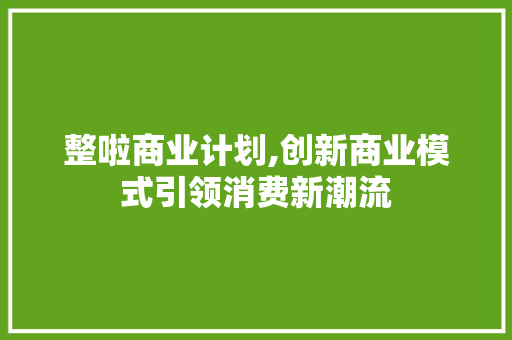 整啦商业计划,创新商业模式引领消费新潮流
